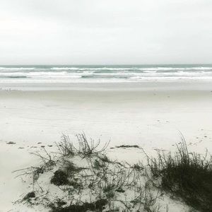 Meet your Posher, Annabelle